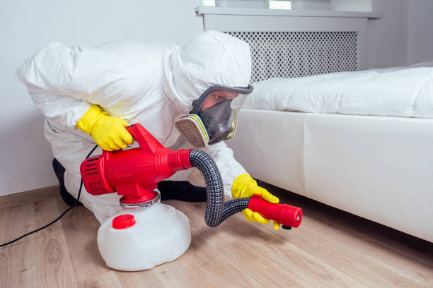 Best Local Pest Control Services  in Elberta, AL