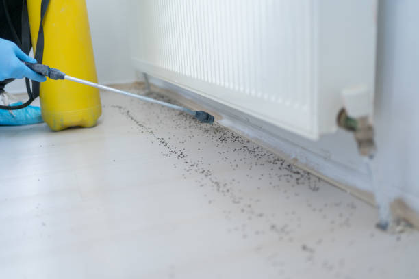 Best Emergency Pest Control  in Elberta, AL